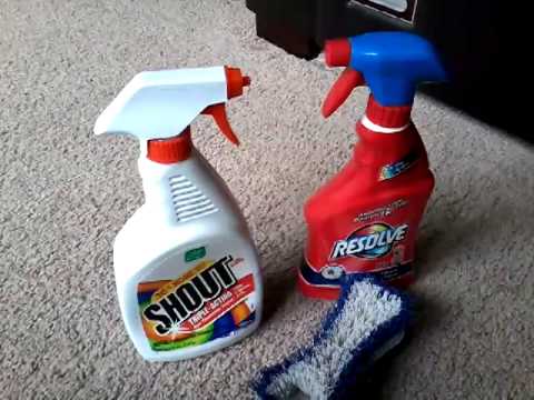 Can You Use Shout on Carpet?